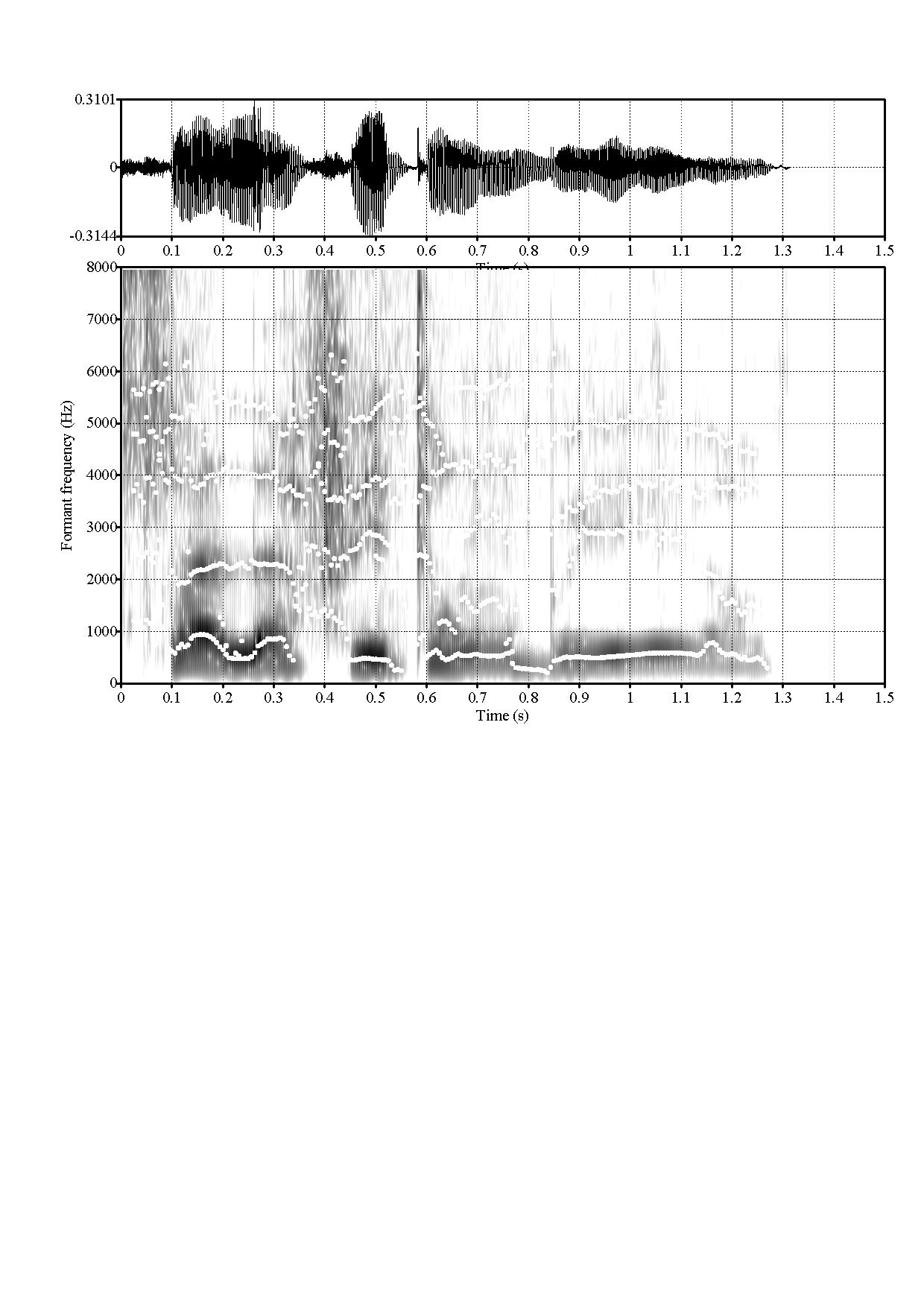 Sonagramme mystère à décoder